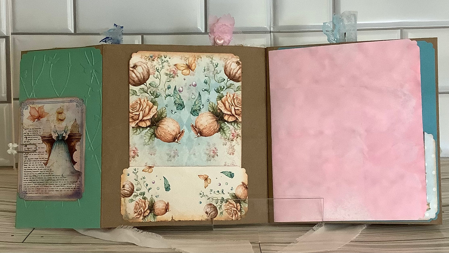Cinderella Journal