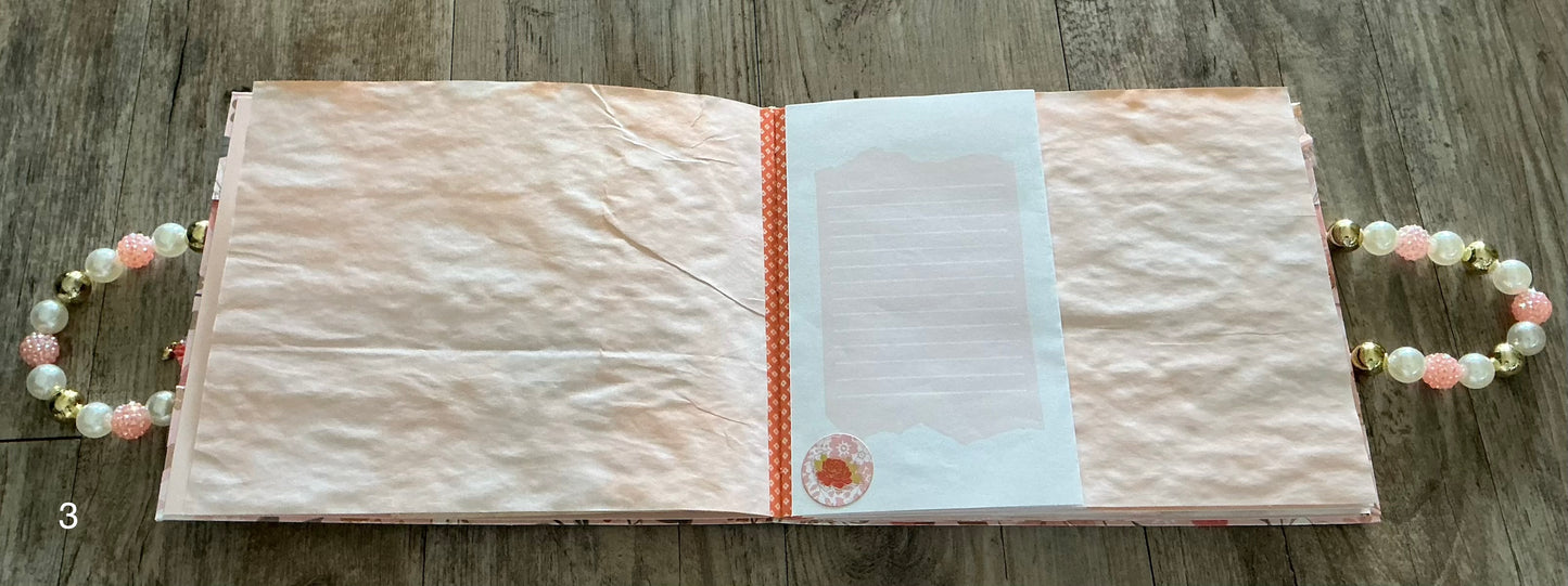 Gift Bag Journal (B)